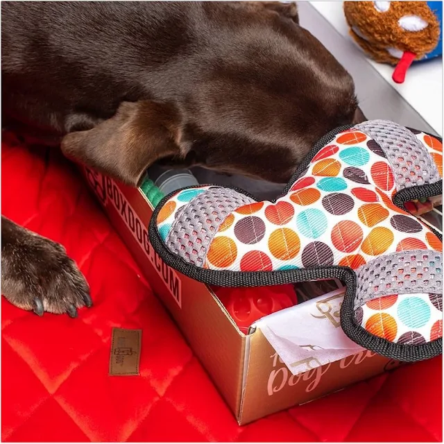 Best Top Dog Subscription Box for Tough Chewers