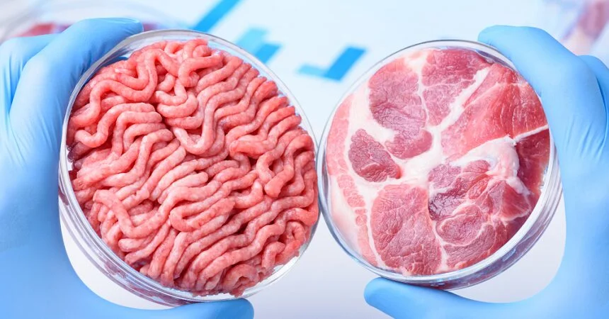 Carne cultivada em laboratório é um desastre em formação