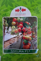 jual benih, bibit tomat terbaik, sakura f1, benih cap panah merah, tanaman tomat, cara menanam tomat, toko pertanian, toko online, lmga agro