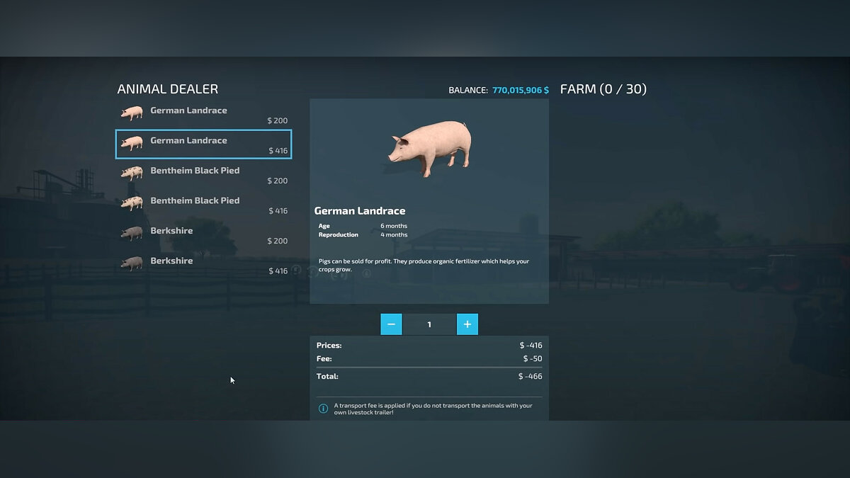 Features of buying, keeping and caring for pigs