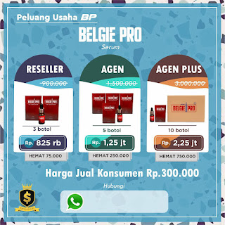 harga belgie pro