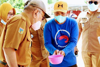 Bupati Buol Tinjau Pembenihan Udang Vaname