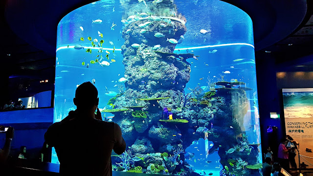 giant tubular fish tank at S.E.A. Aquarium of Resorts World Sentosa, Singapore