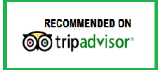 TripAdvisor Reviews