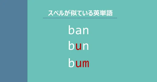 ban, bun, bum, スペルが似ている英単語