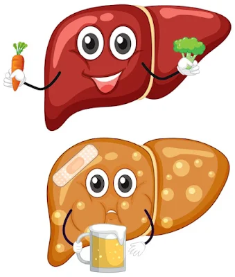 Harmful foods for liver - Healthy Bel