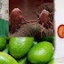 ক্যান্সার কোনো মরণব্যাধি রোগ নয়