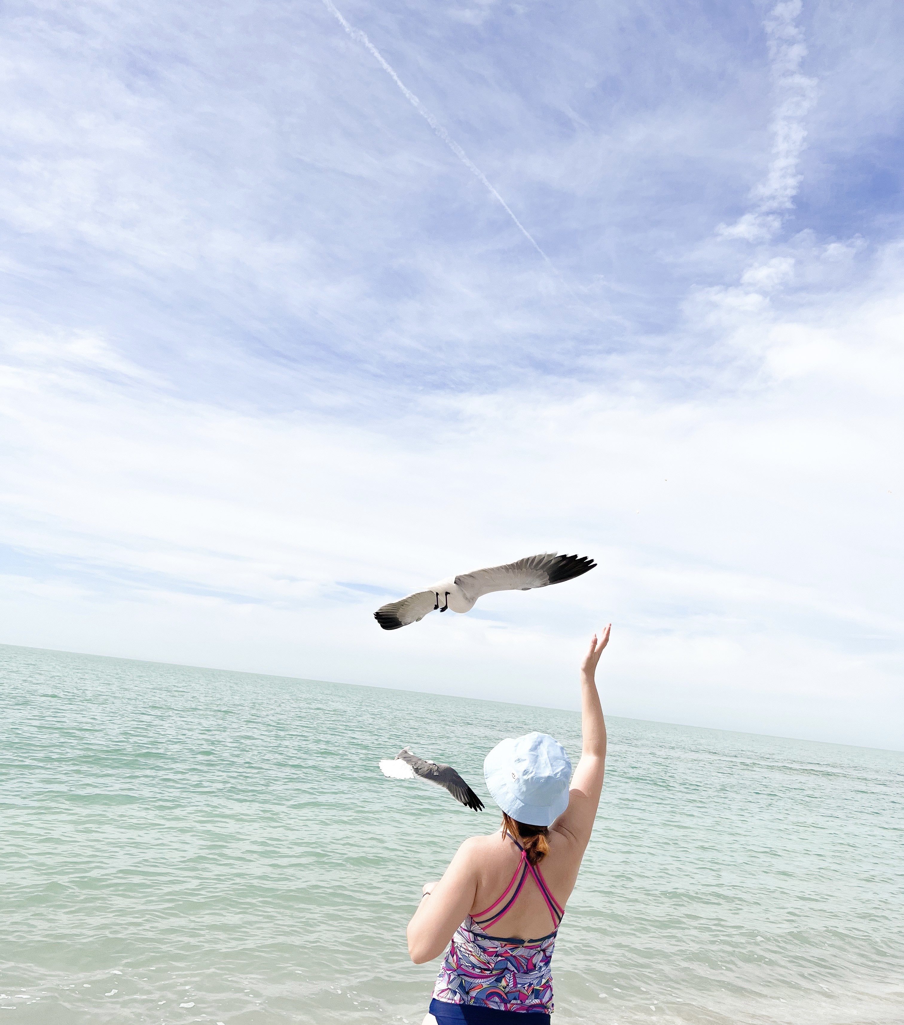 Venice Beach, Florida