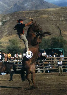 Pila Jenkis - Foto Torres