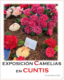 Exposición en Cuntis