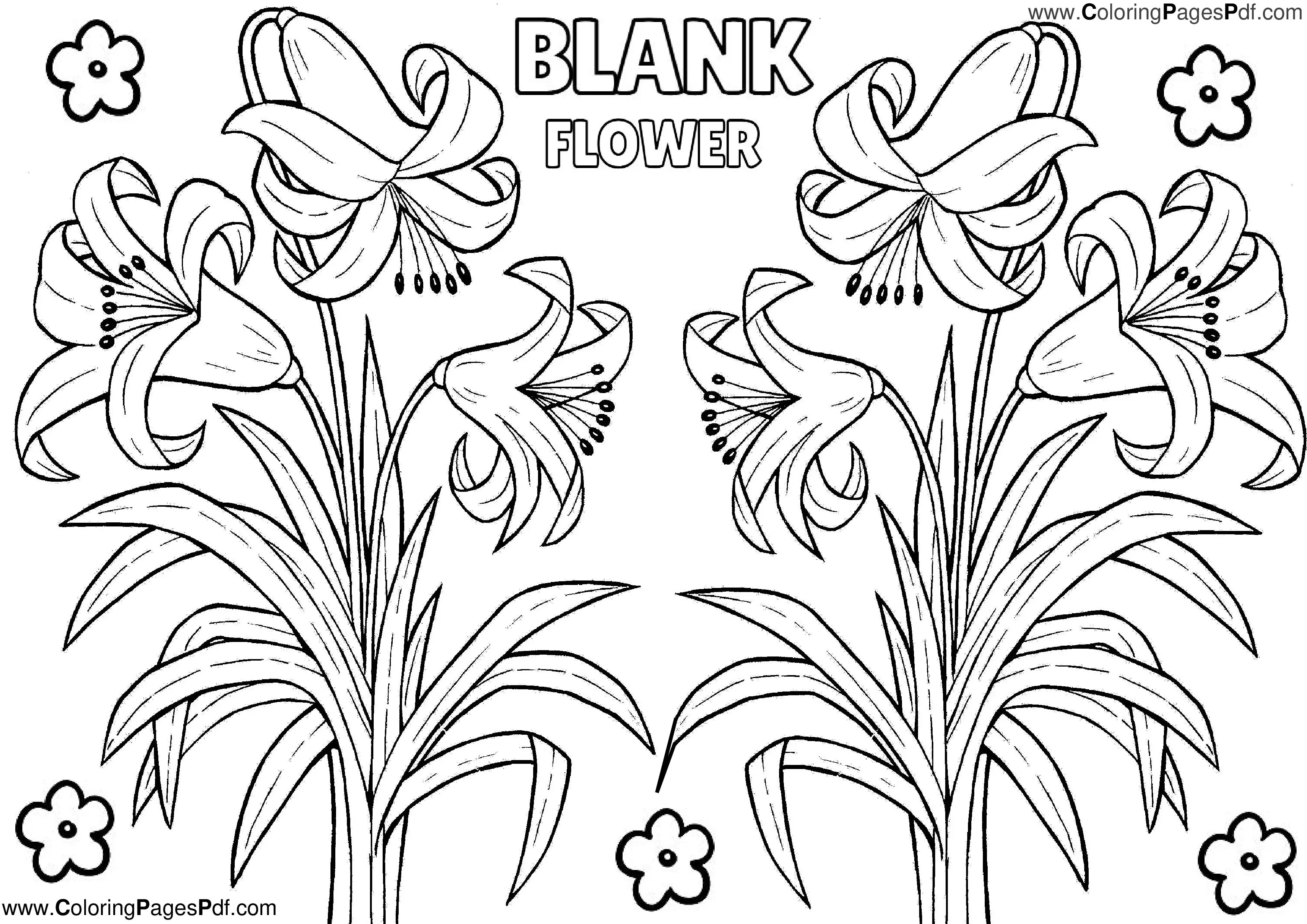 Blank Flower Coloring Pages