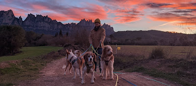 Christof with dogs and mountain in the background