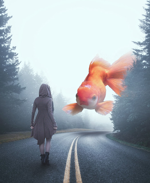 Surreal Fish Photo Manipulation Photoshop Tutorial