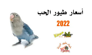 أسعار طيور الحب 2022