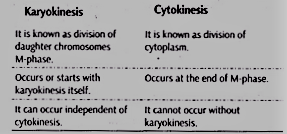 Differences between Karyokinesis and Cytokinesis