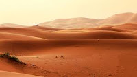 3. DESERT SAHARIEN
