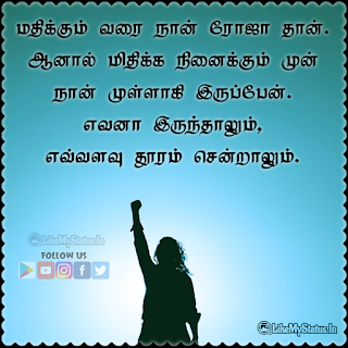 Whatsapp status for women tamil