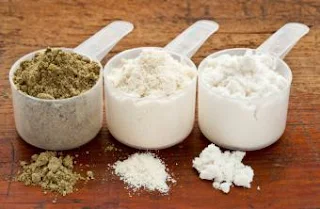 Mushroom protein powder price