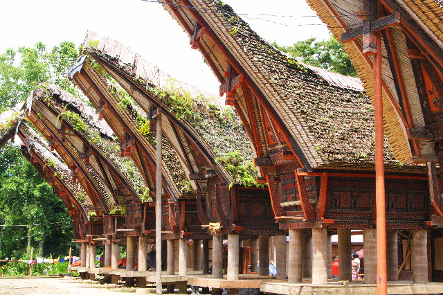 Desa Pallawa toraja