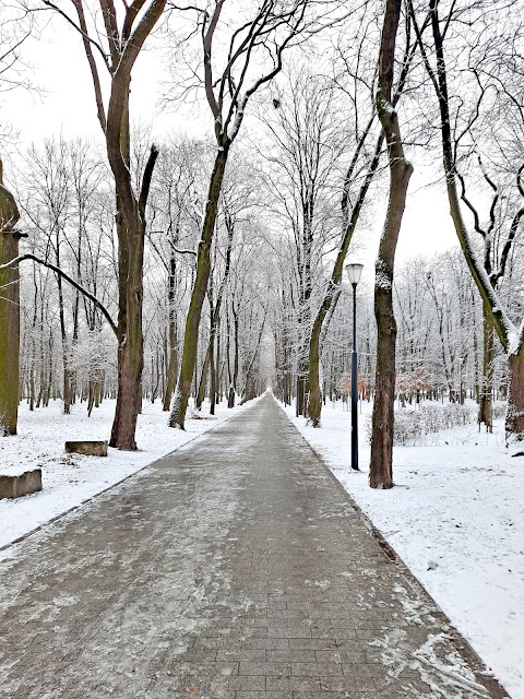 park, miasto, śnieg, zima, sesja zdjęciowa, autoportret