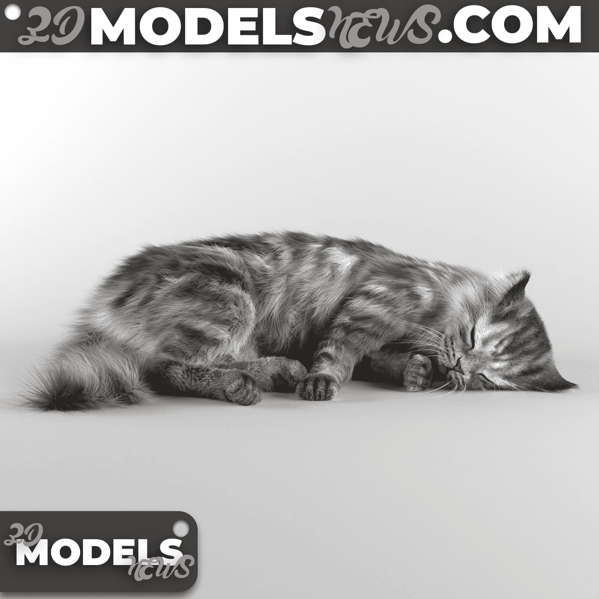 Sleeping Cat Model 1