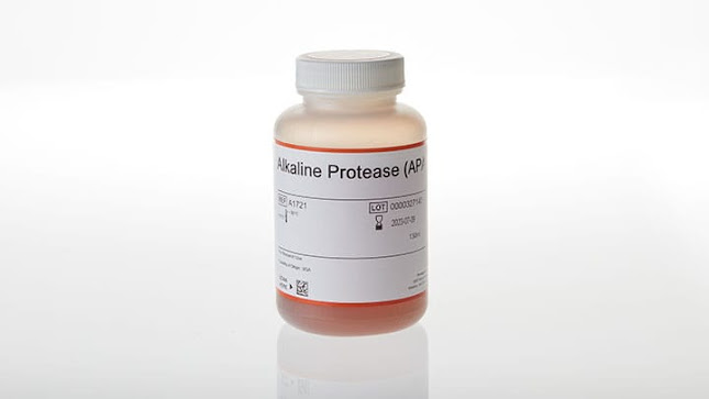 Alkaline Proteases Market