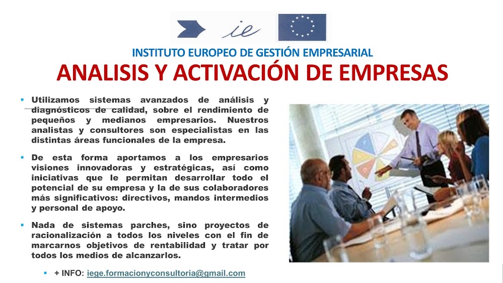 ASOCIACION PROFESIONAL DE ANALISTAS Y CONSULTORES DE EMPRESAS(APACE)