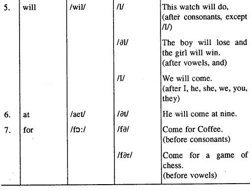 MP Board Class 12th English The Spectrum Workbook Solutions Chapter 13 Forest and River