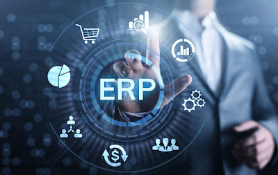 ERP Software Development Services