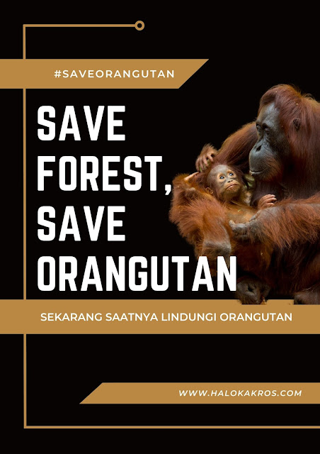 jaga hutan jaga orangutan