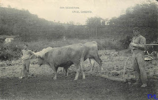 pais vasco antes caserio donostia