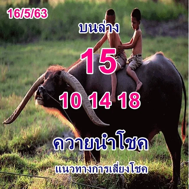 Game Open Thai Lottery VIP paper 1/02/2022 thai lottery today | thailand lottery result 2022 | 1-2-2022 Thailand Lottery Buffalo Paper