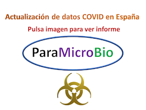 Situación de COVID-19 en España actualizado cada semana.