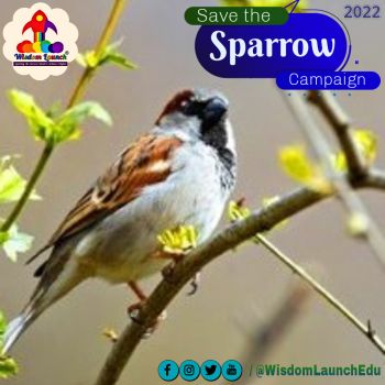 Save the Sparrow Campaign 2022