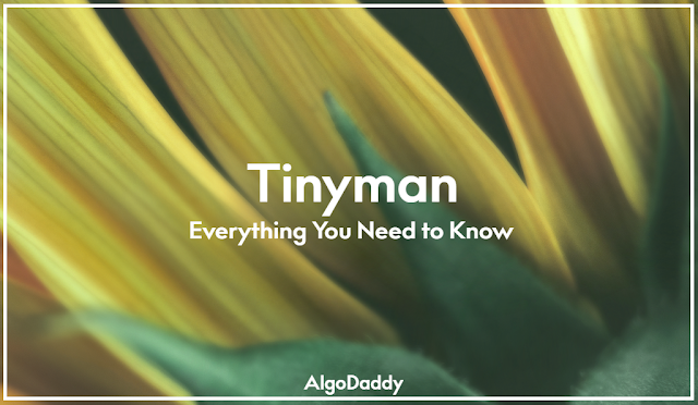 Tinyman Explained