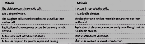 Differences between Mitosis and Meiosis