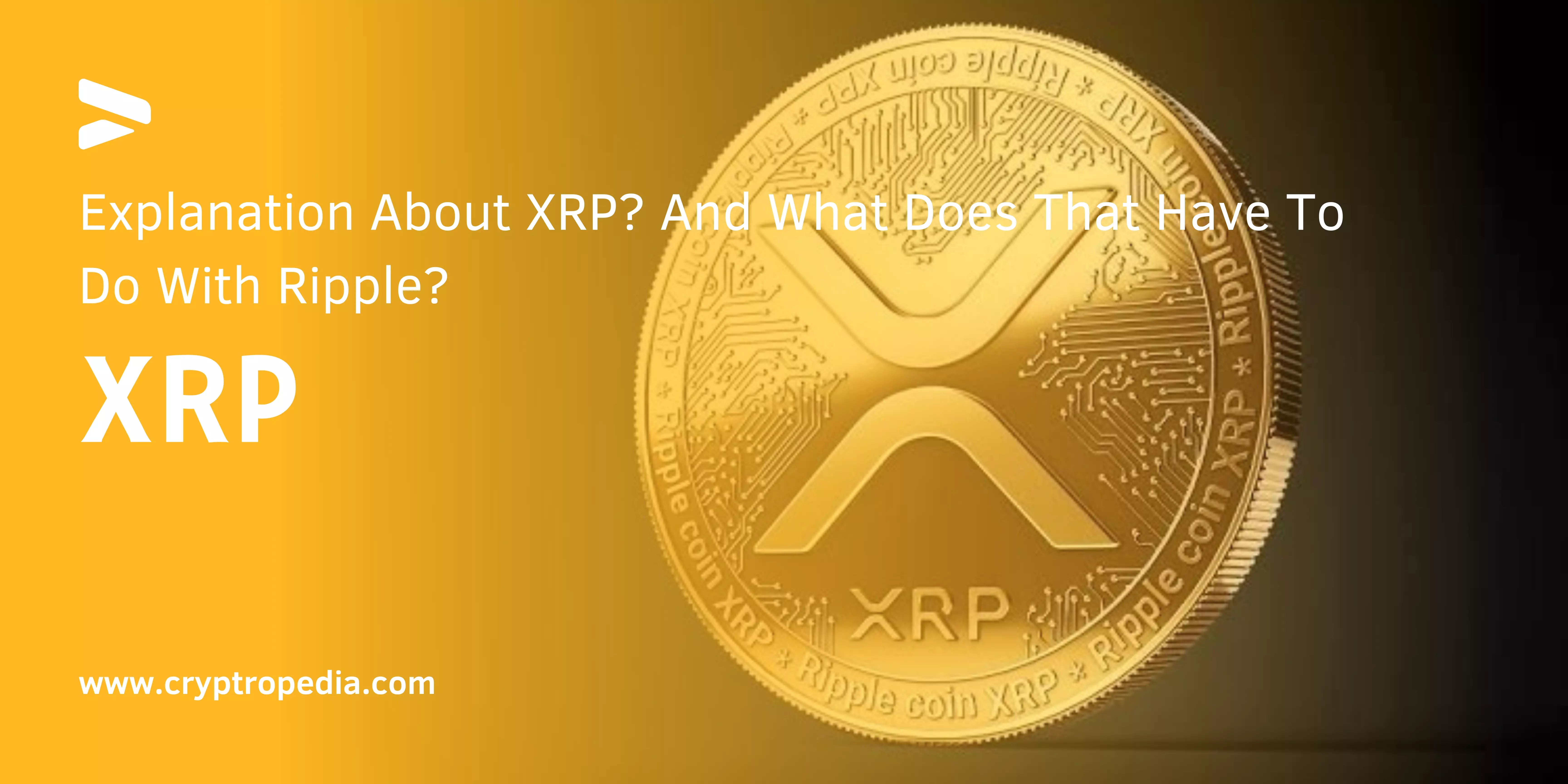 Explanation About XRP And What Does That Have To Do With Ripple