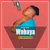 AUDIO | Madiwa - Wabaya | Download