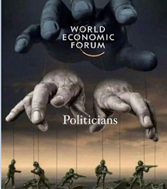 WEF POLITIC WAR