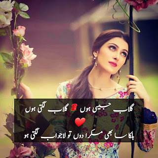 Love Poetry In Urdu Sms