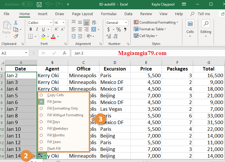 Tùy chọn tự động điền trong Excel