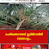 പെരിയങ്ങാനത്ത് ഇടിമിന്നലിൽ നാശനഷ്ടം...