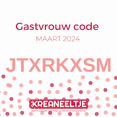 Gastvrouwcode