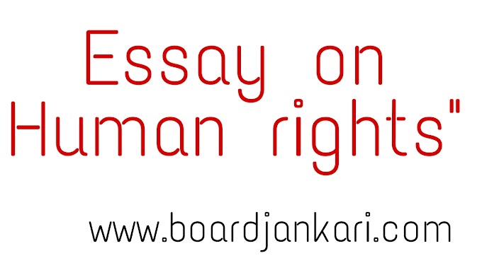 essay on human rights pdf |essay competion on human rights |Essay on Human Rights in english 
