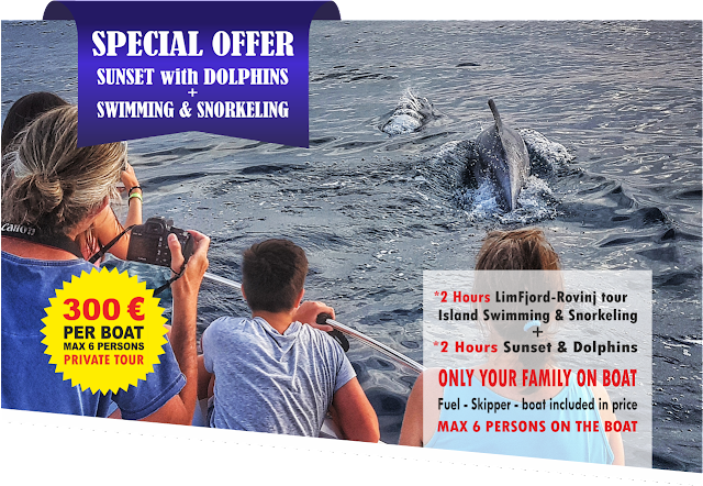 Snorkeling & Dolphins Tour | Private & Shared boat tours Istria!