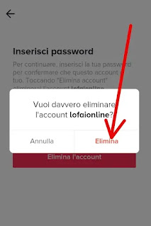 Guida per cancellare profilo TikTok