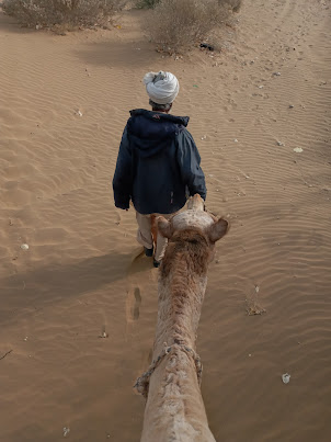 The camel ride back to "Camel Point" on  the main highway  road from Sam Sand Dunes