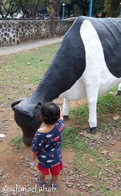 Playing with the Cow of Marikina Heights