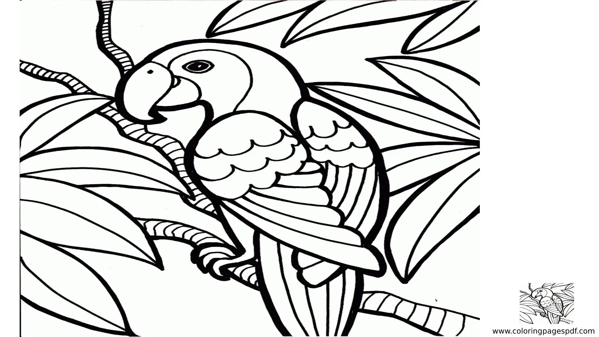 Coloring Pages Of A Parrot On A Tree