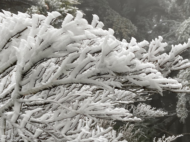 往海諾南山